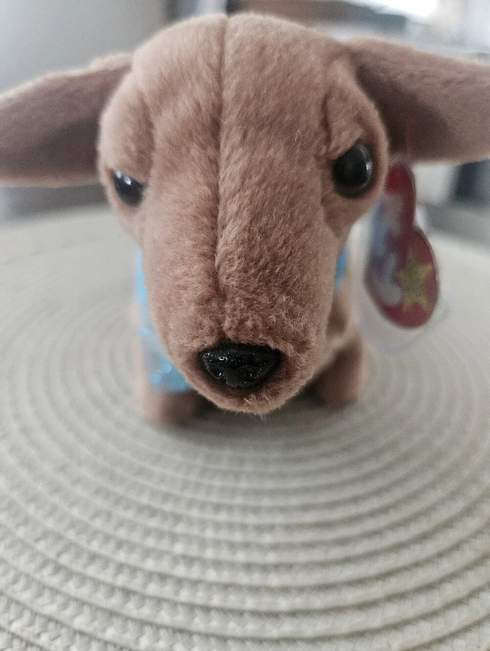 Ty Beanie Baby Plush Dachsund with Sparkly Blue Collar, Orig Tags
